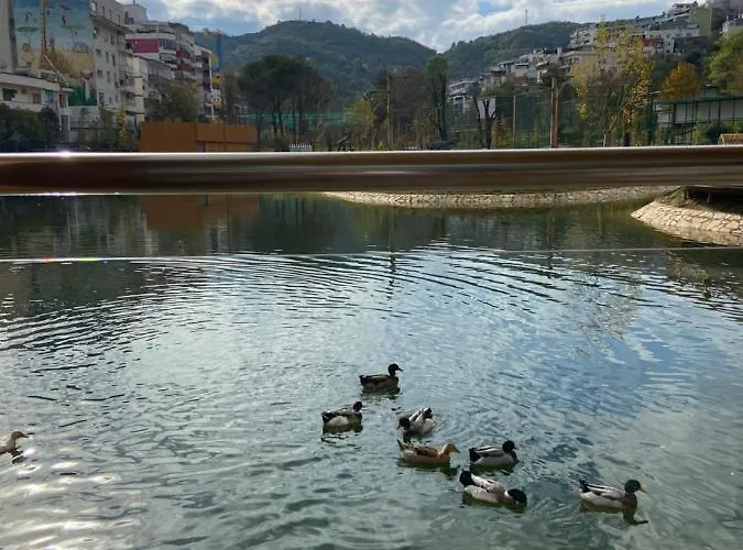 Mb Luxury Apartment *